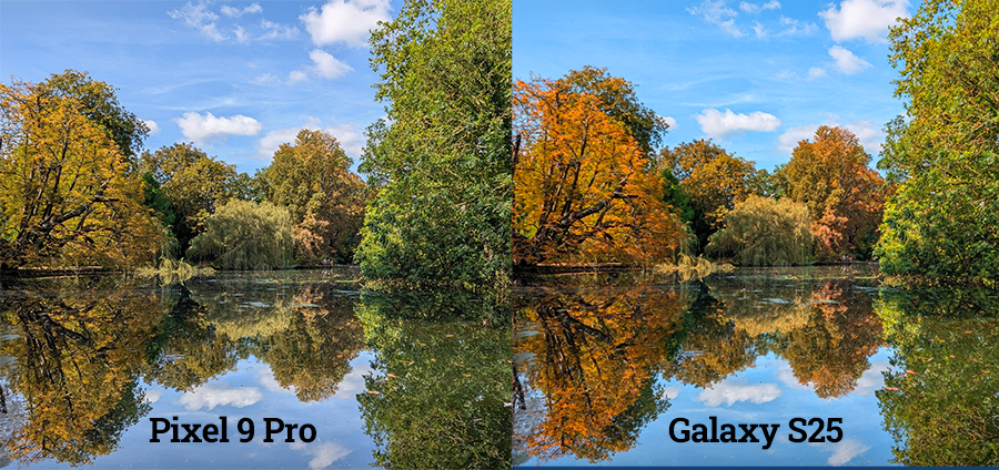 The Pixel 9 Pro's Outstanding Camera Performance