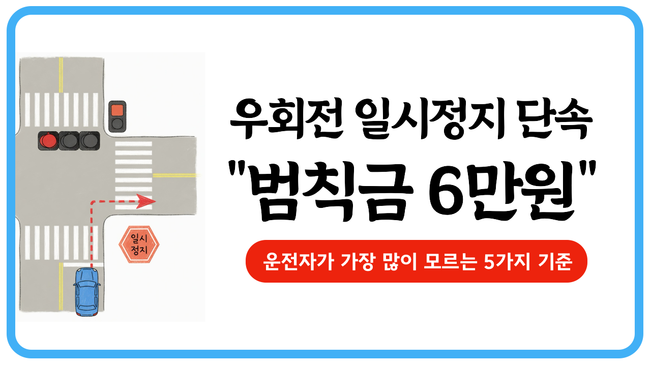 우회전 일시정지 집중단속 가이드, 정확한 위반 기준 5가지