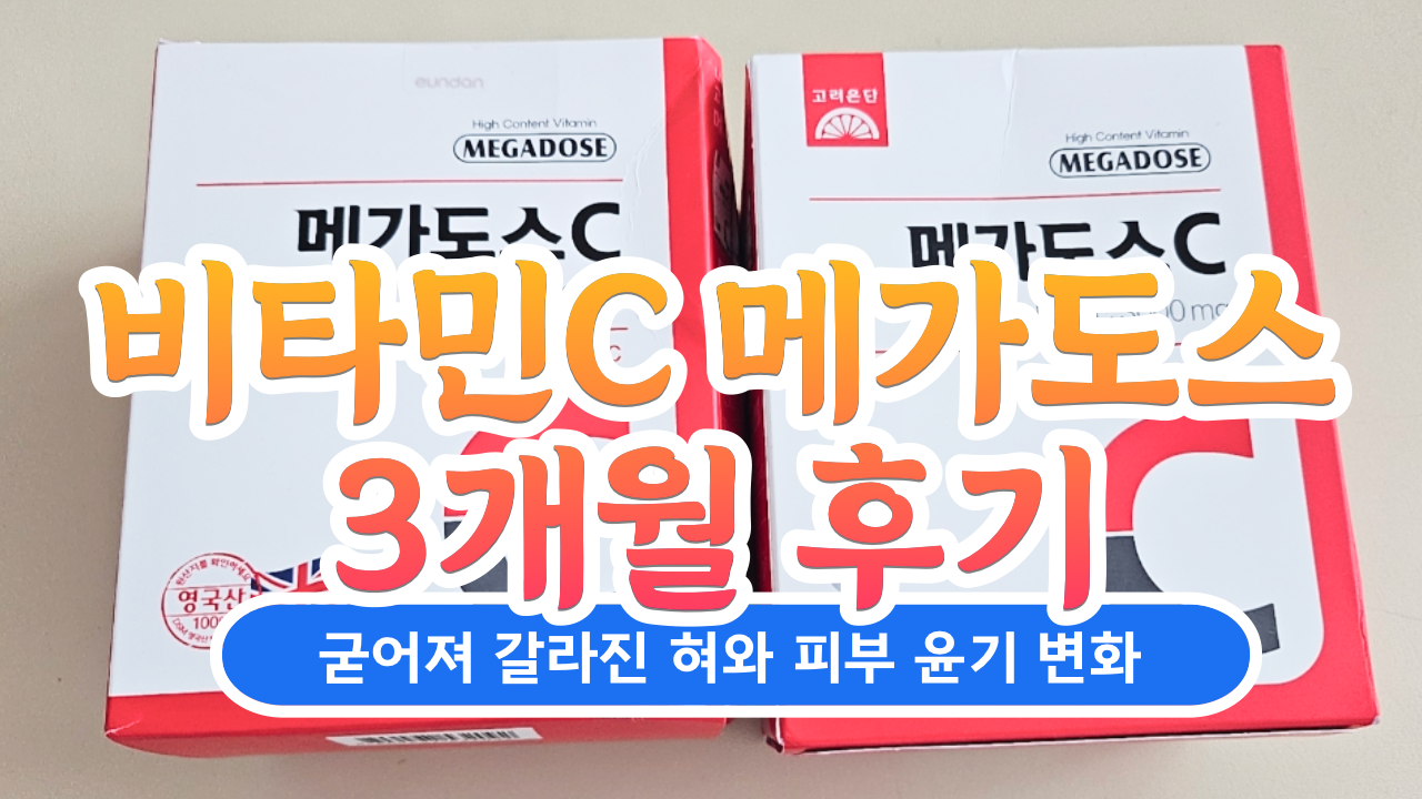 비타민C 메가도스 3개월 복용 후기